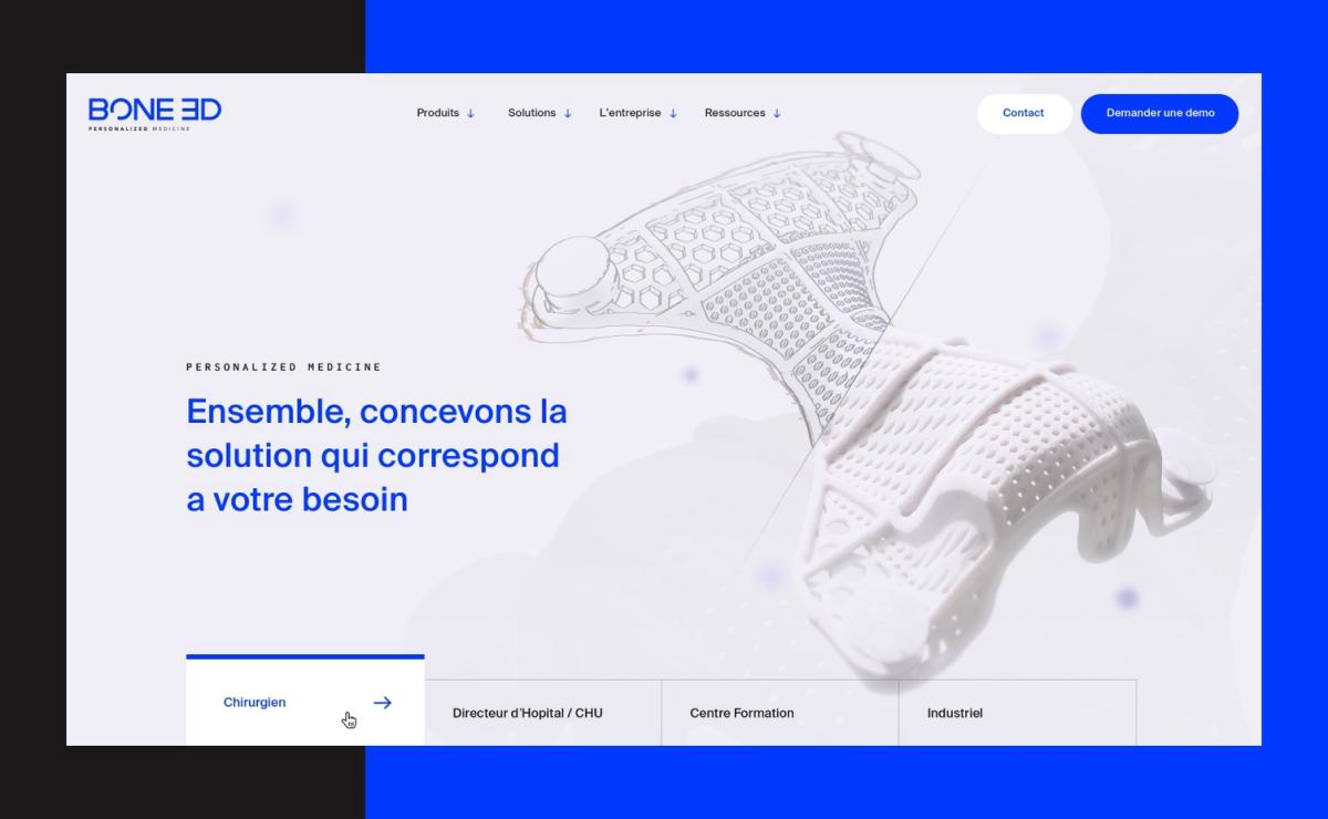 Référence Cerbère - Bone3D